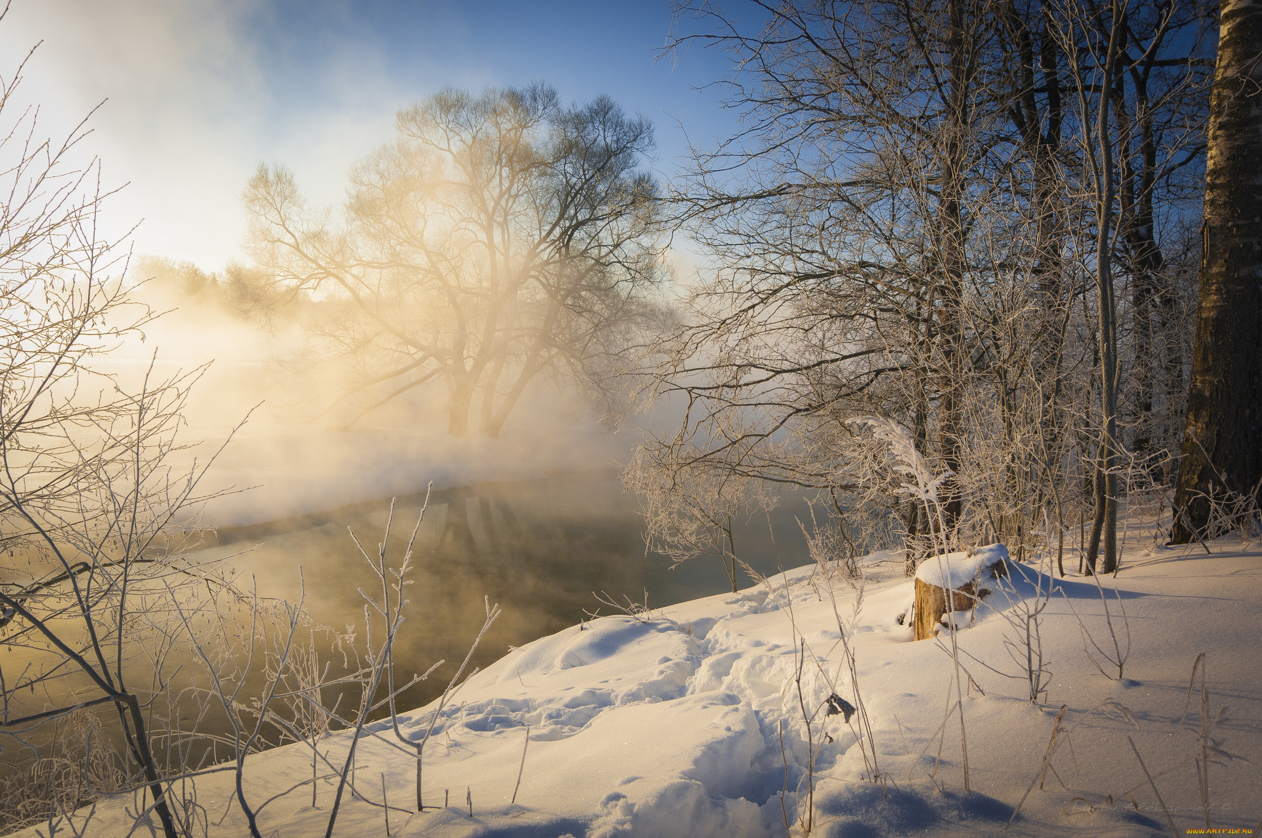 �������, ����, ������